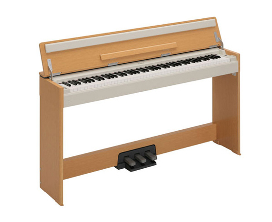  - 4040 за 0 грн. | 4Club